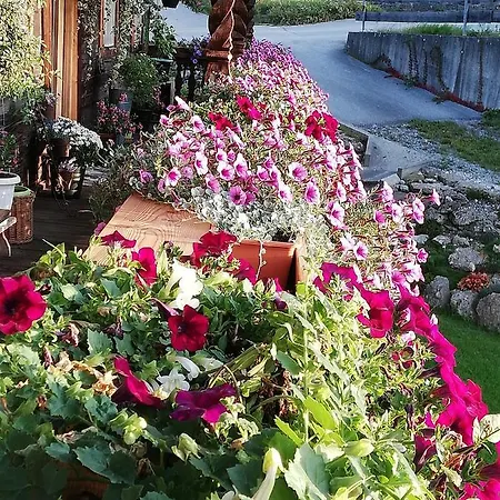 Guest house Schweinsteiger Hof