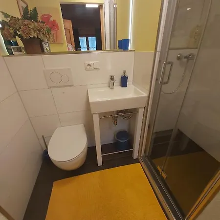 Schweinsteiger Hof Guest house Oberaudorf